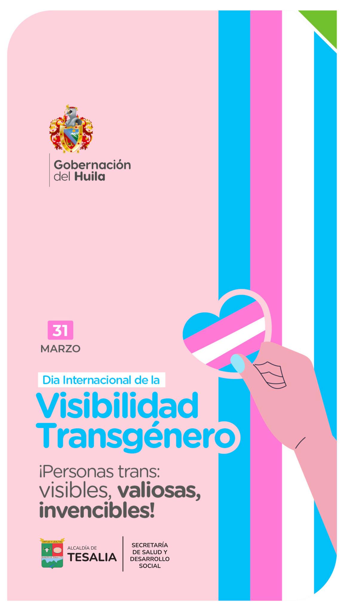 Noticia - 💙💗🤍 DÍA INTERNACIONAL DE LA VISIBILIDAD TRANS